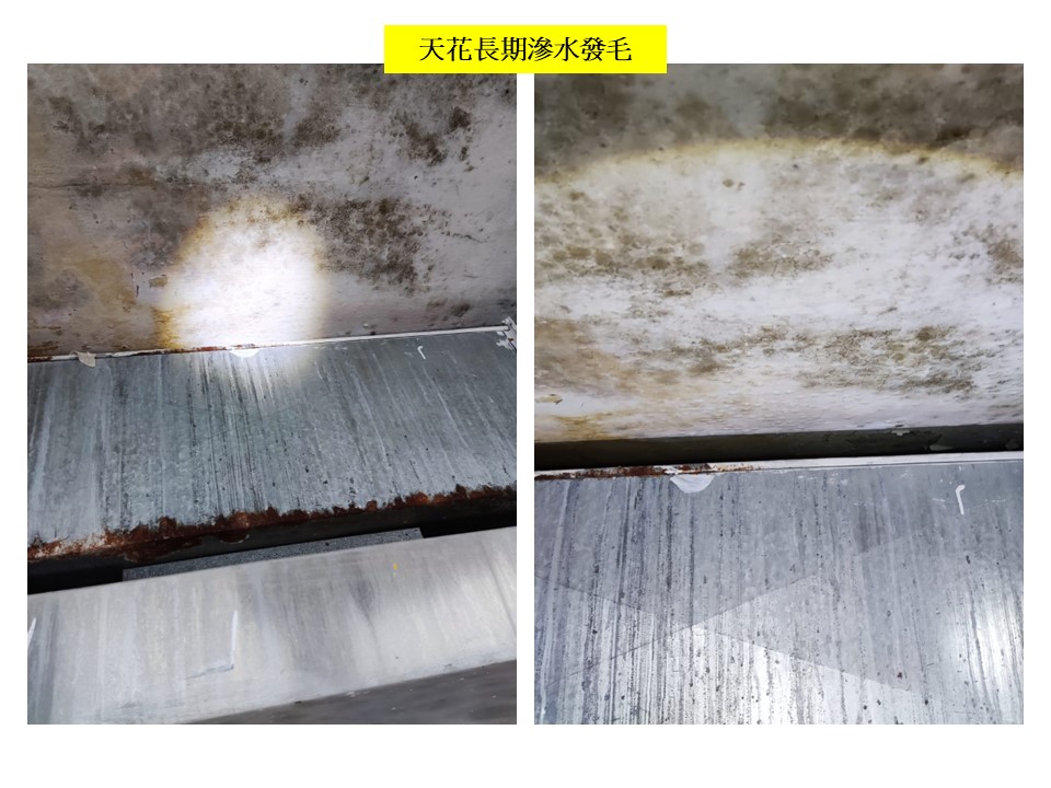 天花士波令小型工程-士坡令維修工程-外牆石屎剝落修葺令-Spalling-repair-鋼筋生銹外露-石屎剝落修葺工程-舊樓冧石屎修葺9