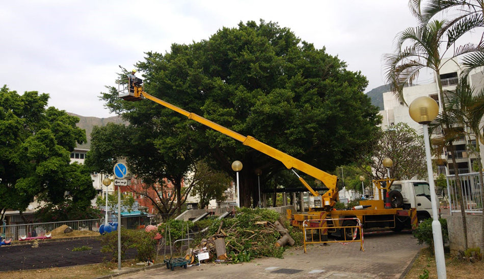 高空工作車（街燈車）租賃／銷售D6